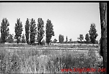 Filename=neg-992.jpg
Filesize=91KiB
Dimensions=1000x685
Date added=Sep 13, 2009 neg-992.jpg