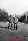 pol043.jpg