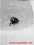 pol048.jpg