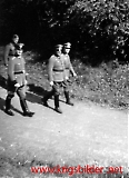 pol097.jpg