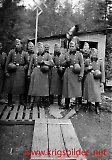 Filename=pol112.jpg
Filesize=205KiB
Dimensions=562x800
Date added=Jul 03, 2009 pol112.jpg