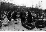 Lakselv - Tyske luftwaffe soldater begraver en fallen kamerat