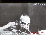 propaganda-54.jpg