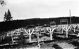 Waffen-SS kirkegård i Finland