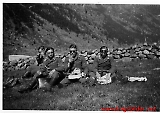 Pinsetur 1941