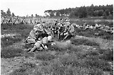 sspol27-087.jpg