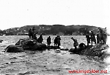 Filename=Polmus-111.jpg
Filesize=89KiB
Dimensions=1164x800
Date added=Jun 18, 2009 Polmus-111.jpg