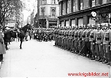 Polmus-34.jpg
