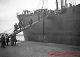 Polmus-52.jpg