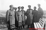 Polmus-64.jpg