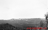 sspolrgtxx-075.jpg