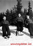 Filename=Steinberget009.jpg
Filesize=200KiB
Dimensions=648x900
Date added=Jun 15, 2009 Steinberget009.jpg