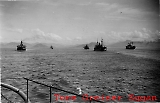 tvb040109-79.jpg