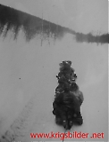 Filename=SKI3.JPG
Filesize=188KiB
Dimensions=613x800
Date added=Feb 17, 2013 SKI3.JPG