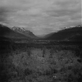 TGE10062020-020.jpg