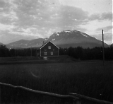 TGE10062020-026.jpg