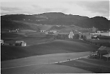 TGE26072020-001.jpg
