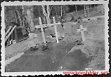 Filename=Usling2.JPG
Filesize=394KiB
Dimensions=1024x714
Date added=Jul 04, 2013 Usling2.JPG