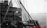 whu-059.jpg