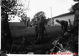 whu-156.jpg