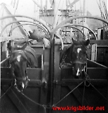 Filename=IRxxx163-022.jpg
Filesize=161KiB
Dimensions=862x900
Date added=Jun 15, 2009 IRxxx163-022.jpg