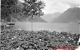 Filename=zenker110.jpg
Filesize=495KiB
Dimensions=1200x753
Date added=Jul 02, 2009 zenker110.jpg