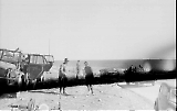 Filename=MG13-659.jpg
Filesize=64KiB
Dimensions=1100x701
Date added=Jul 23, 2011 MG13-659.jpg