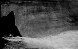 Filename=MG13-300.jpg
Filesize=120KiB
Dimensions=1100x694
Date added=Jun 27, 2011 MG13-300.jpg