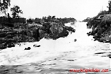Filename=trheer045.jpg
Filesize=401KiB
Dimensions=1189x800
Date added=May 25, 2011 trheer045.jpg