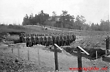 Filename=trheer121.jpg
Filesize=412KiB
Dimensions=1198x800
Date added=May 25, 2011 trheer121.jpg