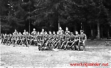 Filename=trheer129.jpg
Filesize=611KiB
Dimensions=1200x743
Date added=May 25, 2011 trheer129.jpg
