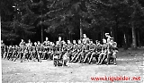 Filename=trheer130.jpg
Filesize=620KiB
Dimensions=1200x703
Date added=May 25, 2011 trheer130.jpg