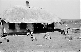 Filename=MG13-179.jpg
Filesize=136KiB
Dimensions=1100x703
Date added=Jun 27, 2011 MG13-179.jpg