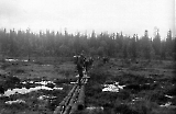 Filename=MG13-485.jpg
Filesize=109KiB
Dimensions=1100x721
Date added=Jun 27, 2011 MG13-485.jpg