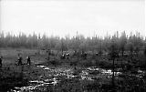Filename=MG13-486.jpg
Filesize=115KiB
Dimensions=1100x696
Date added=Jun 27, 2011 MG13-486.jpg