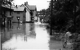 Filename=086d.jpg
Filesize=82KiB
Dimensions=1100x699
Date added=Nov 27, 2011 086d.jpg