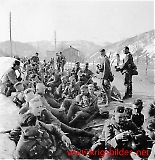 Filename=rftrond-099.jpg
Filesize=171KiB
Dimensions=779x800
Date added=Jun 27, 2009 rftrond-099.jpg