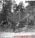 Filename=rftrond-107.jpg
Filesize=189KiB
Dimensions=739x800
Date added=Jun 27, 2009 rftrond-107.jpg