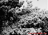 Filename=rftrond-179.jpg
Filesize=181KiB
Dimensions=1070x800
Date added=Jun 27, 2009 rftrond-179.jpg