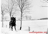 Filename=rftrond-186.jpg
Filesize=115KiB
Dimensions=1113x800
Date added=Jun 27, 2009 rftrond-186.jpg