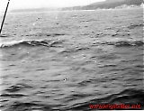 Filename=HE130610-539.jpg
Filesize=80KiB
Dimensions=1164x900
Date added=Nov 20, 2011 HE130610-539.jpg