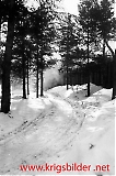 Filename=359IV-176.jpg
Filesize=96KiB
Dimensions=534x800
Date added=Feb 20, 2012 359IV-176.jpg
