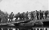 Filename=8pzgrenor31.jpg
Filesize=117KiB
Dimensions=1100x692
Date added=Oct 11, 2009 8pzgrenor31.jpg