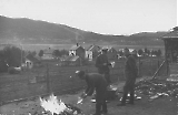 Filename=IR340-II161.jpg
Filesize=131KiB
Dimensions=1000x654
Date added=Jun 19, 2009 IR340-II161.jpg