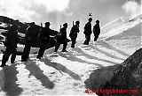 Bjørnfjell - Narvik