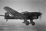 TGE05062022N-_006.jpg
