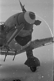 TGE05062022N-_018.jpg