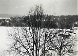 Filename=TGE25042022-009.jpg
Filesize=598KiB
Dimensions=1400x1015
Date added=Apr 25, 2022 TGE25042022-009.jpg