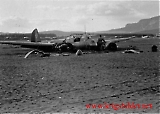 Filename=fly-129.jpg
Filesize=88KiB
Dimensions=1400x1003
Date added=Sep 30, 2010 fly-129.jpg