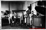 Filename=inf-rex011.jpg
Filesize=401KiB
Dimensions=1200x806
Date added=Jun 18, 2009 inf-rex011.jpg